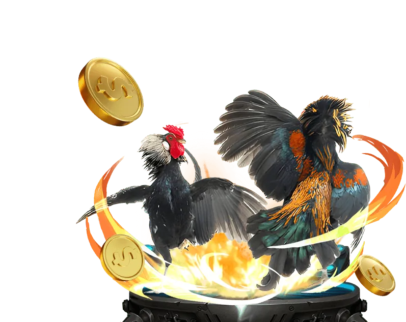 Tổng quan nền tảng KUBET HYTW3339 NET